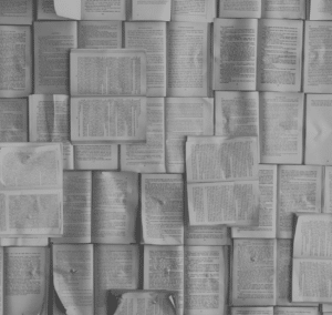 Tas de livres ouvert