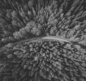 Vue aérienne d'une route entourée d'arbres