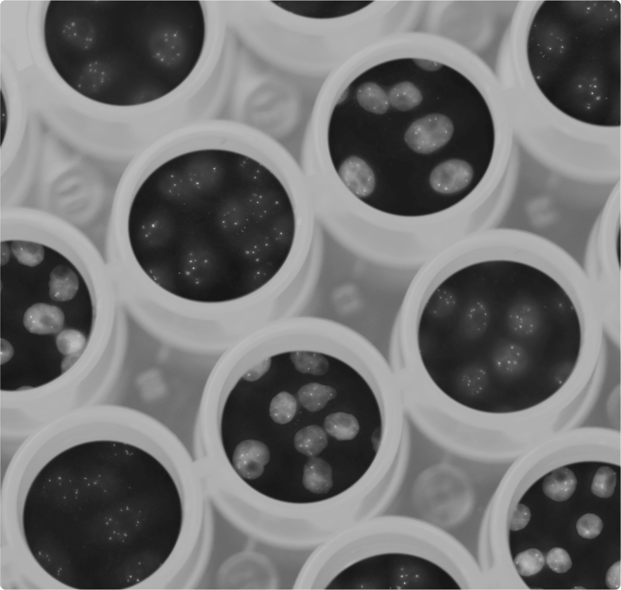 Petit bocal avec des petites perles dedans