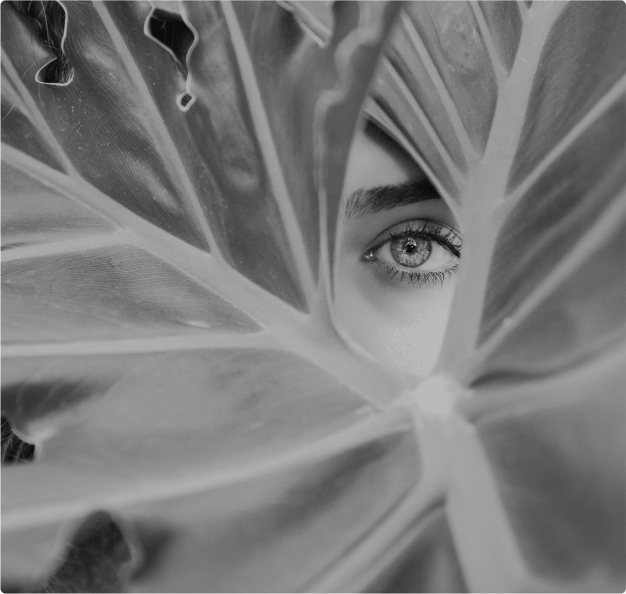 Une femme cachée derrière une grande feuille