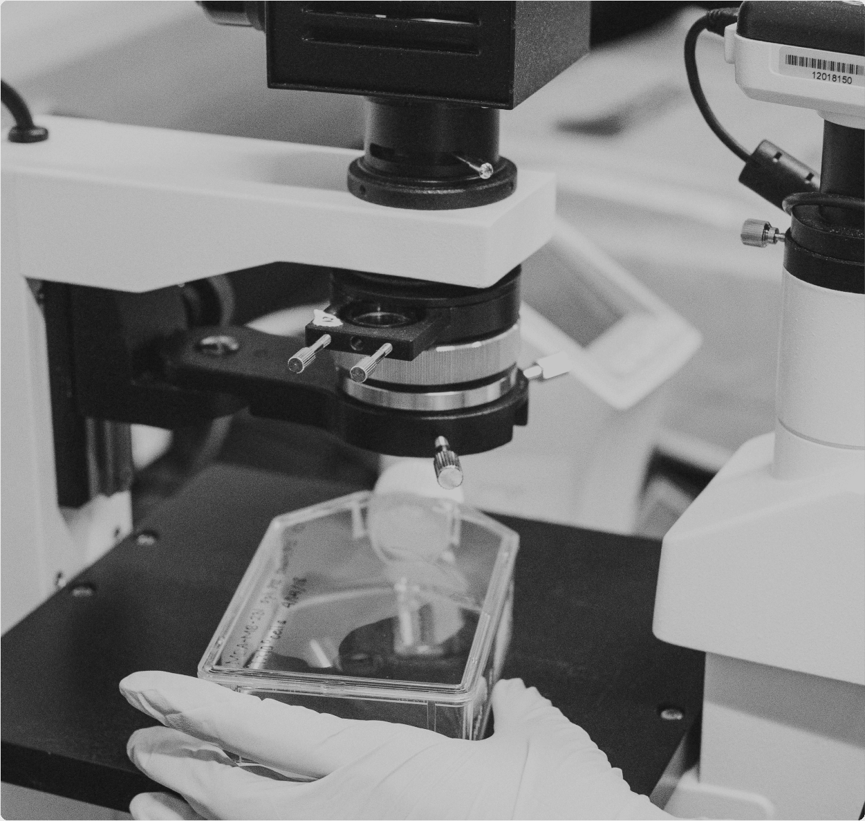 Analyse au microscope