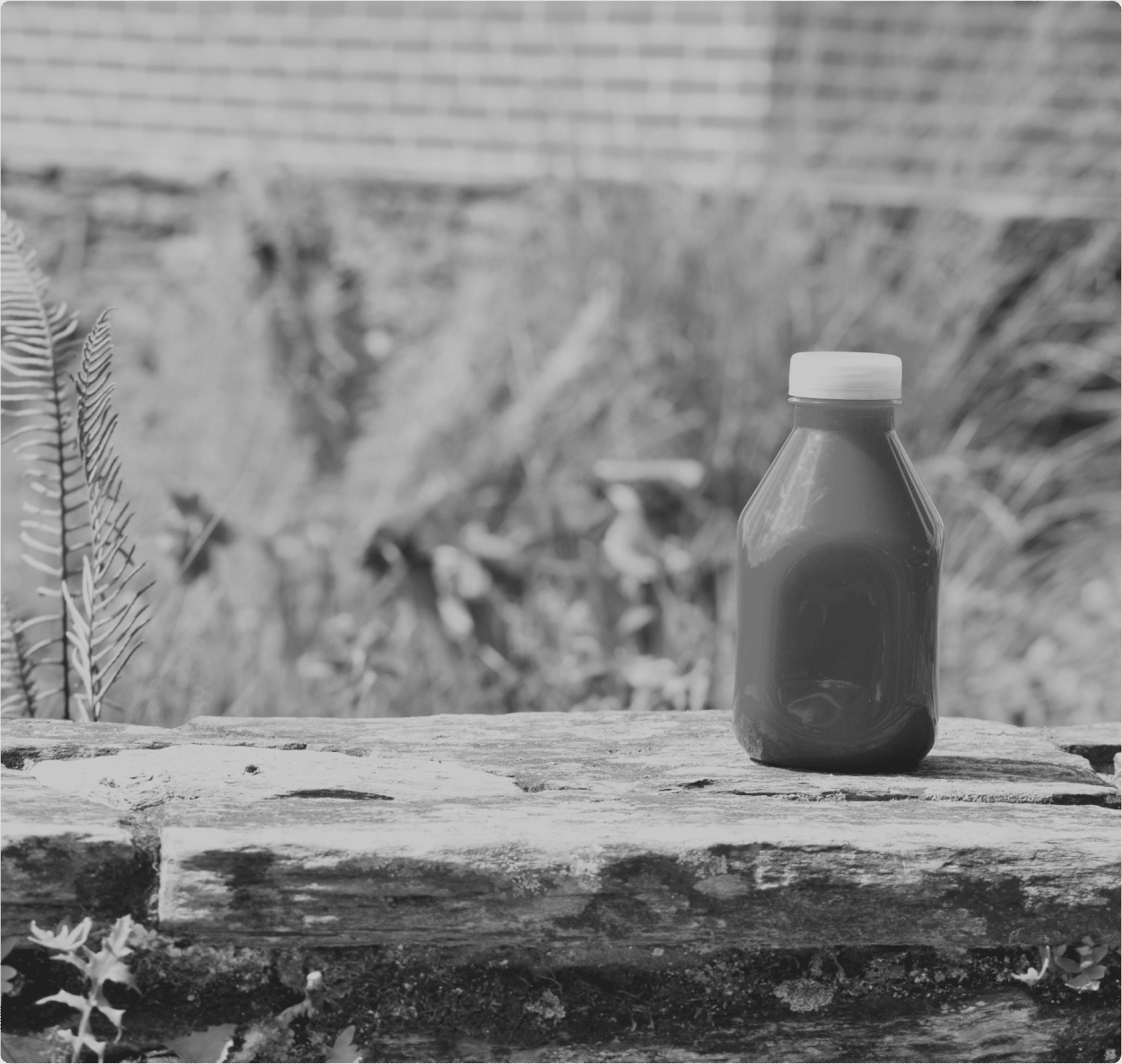 Une bouteille de jus posé sur un banc
