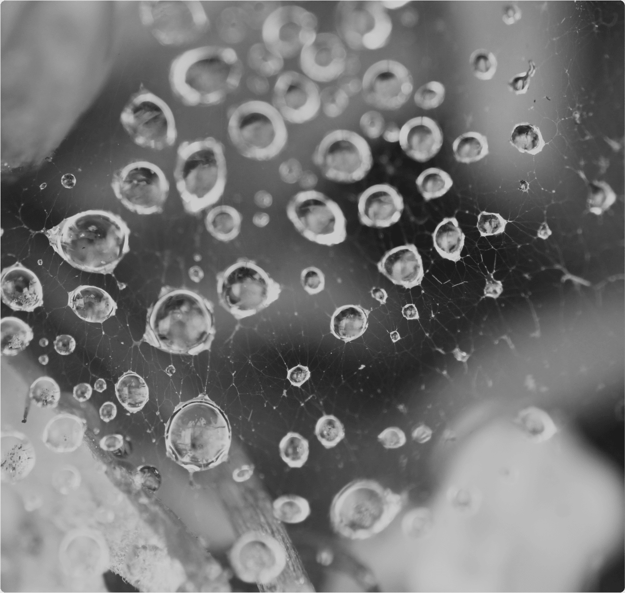 Bois avec des impacts dessus