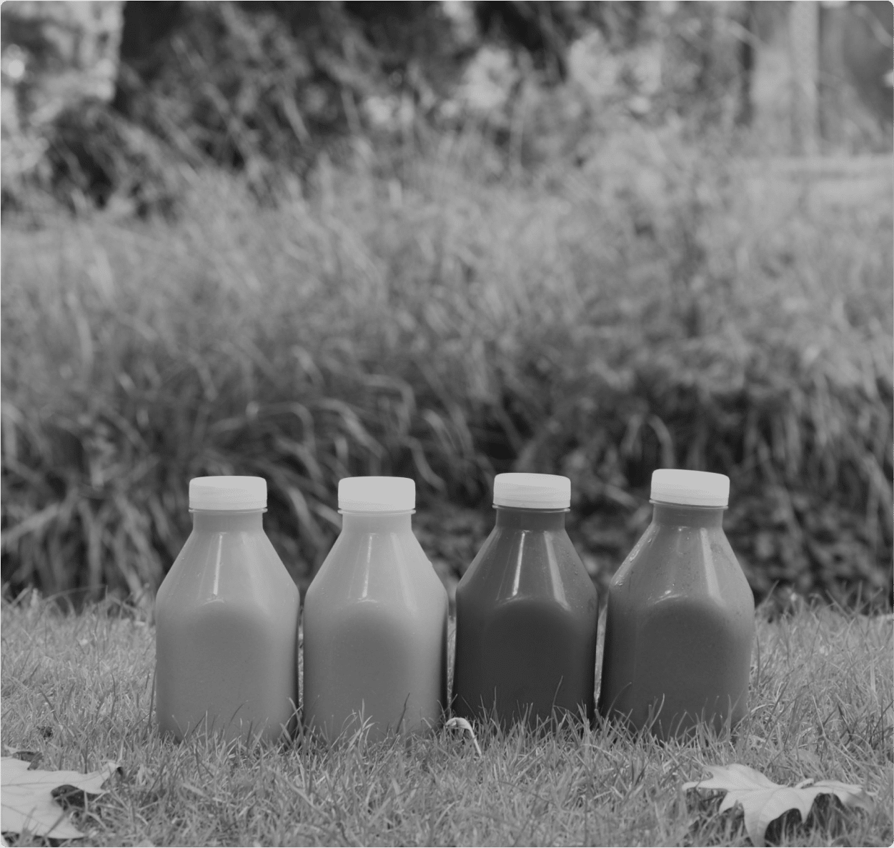 Quatre bouteilles de jus